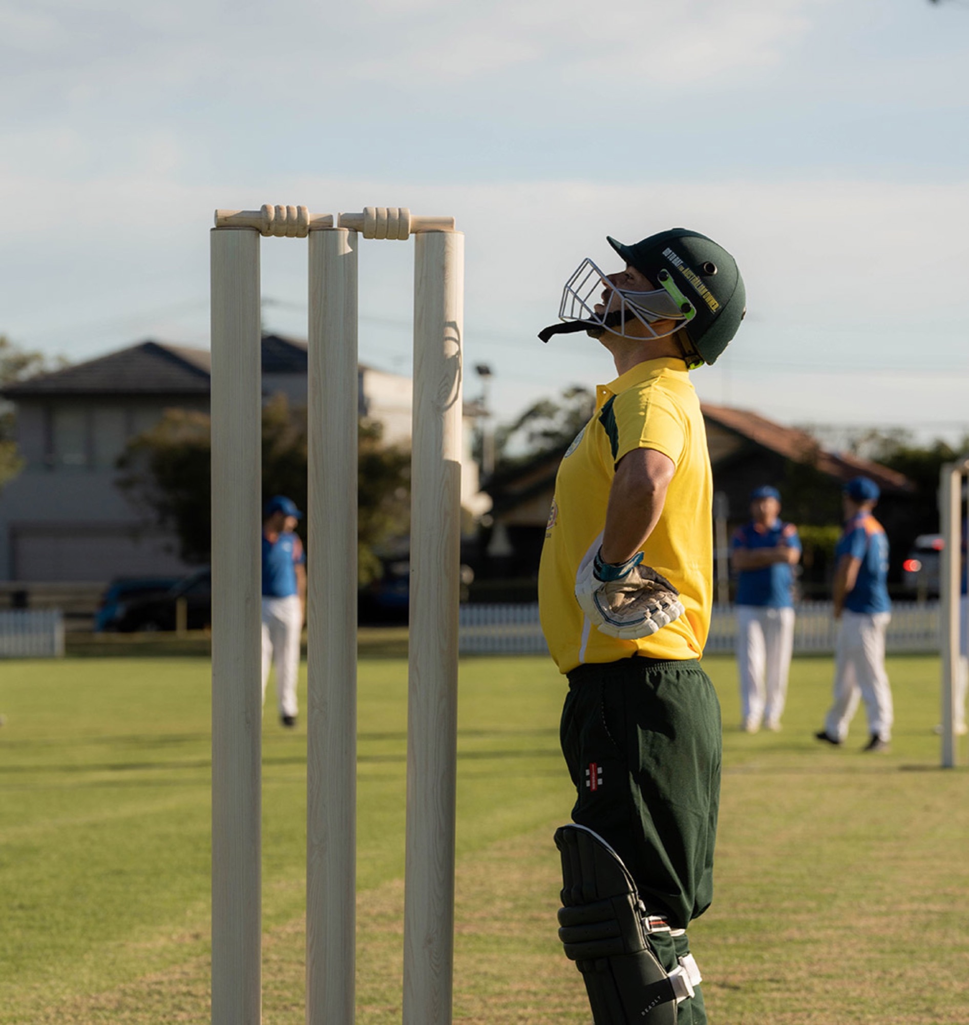 The Unfairest Cricket Match project view 1