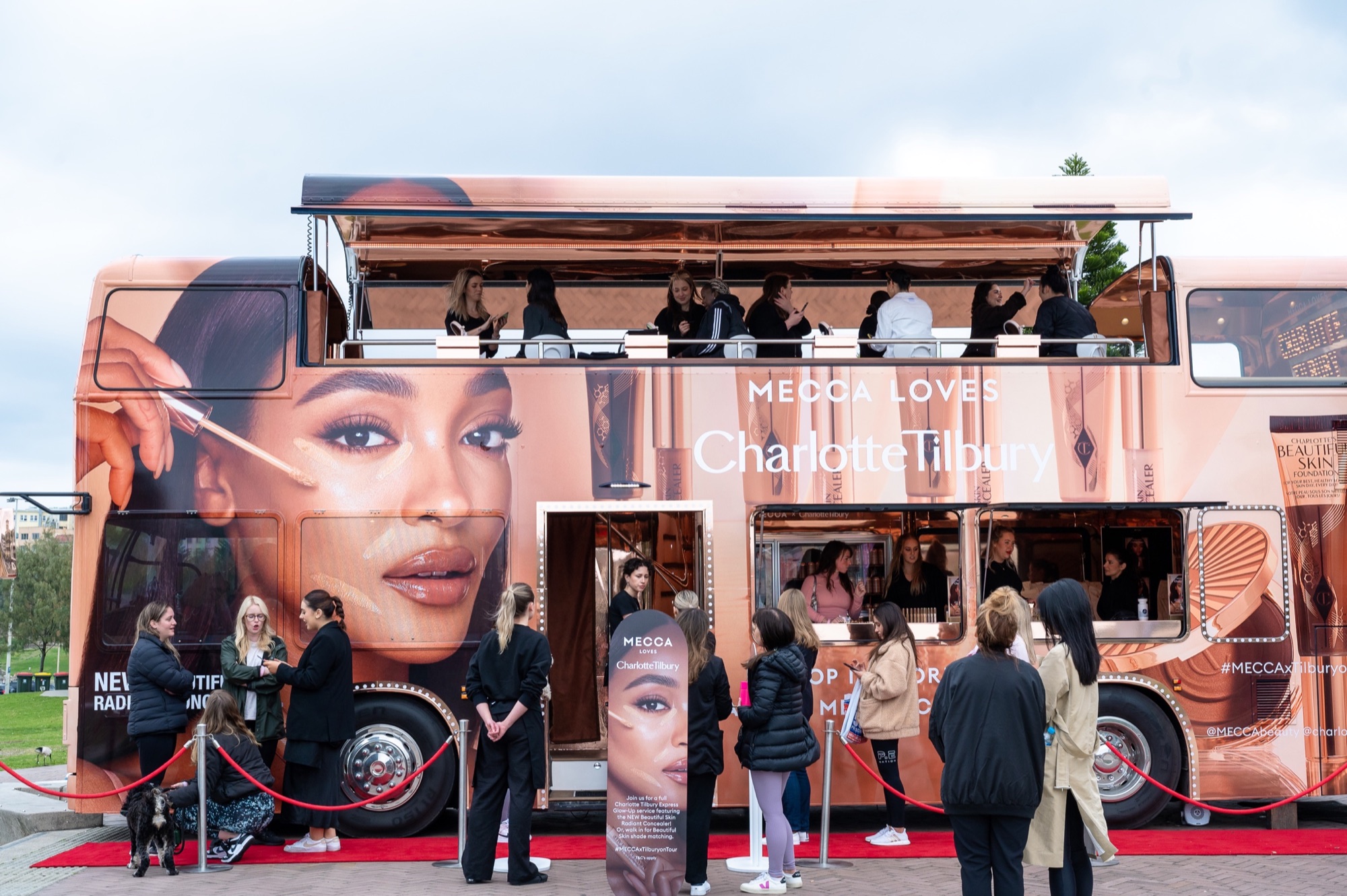 Beautiful Skin Bus project view 5