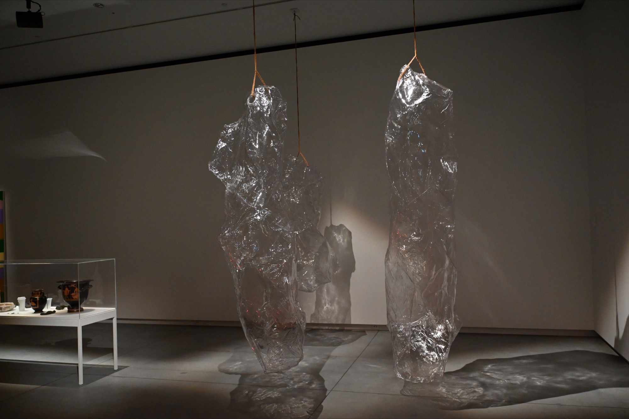 Mikala Dwyer: Penelope and the Seahorse project view 3