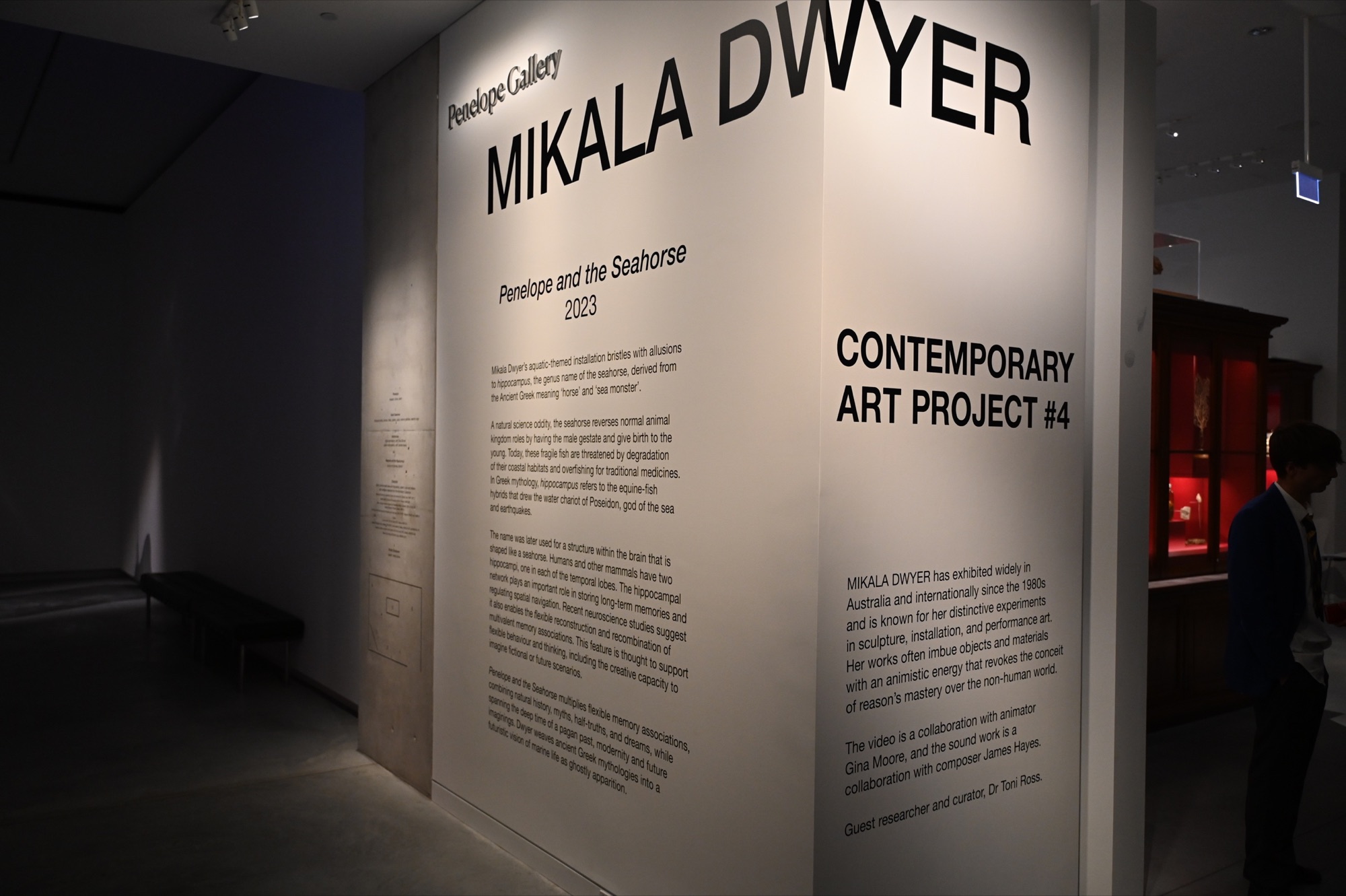 Mikala Dwyer: Penelope and the Seahorse project by Super