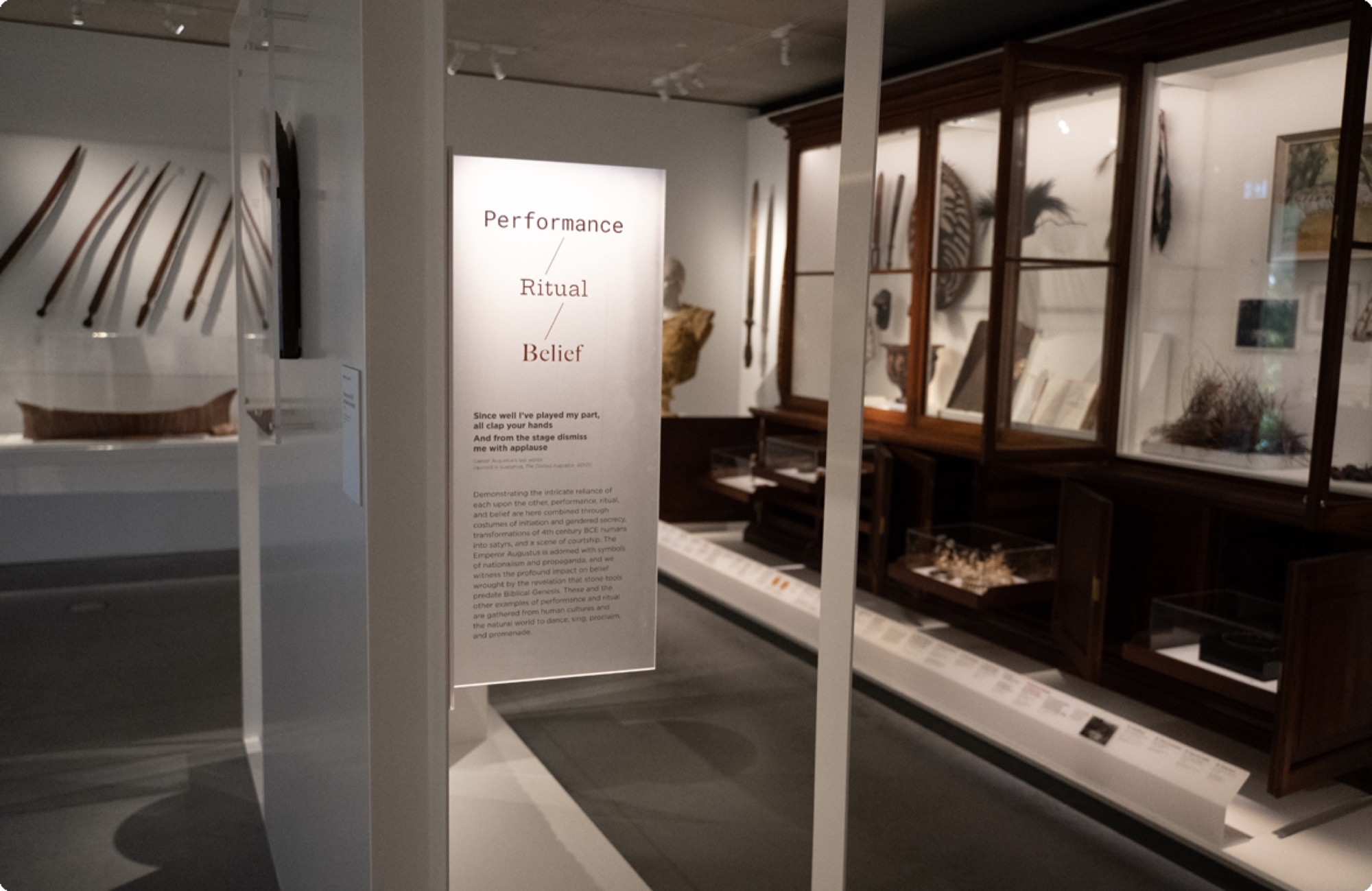 Object / Art / Specimen project by Super