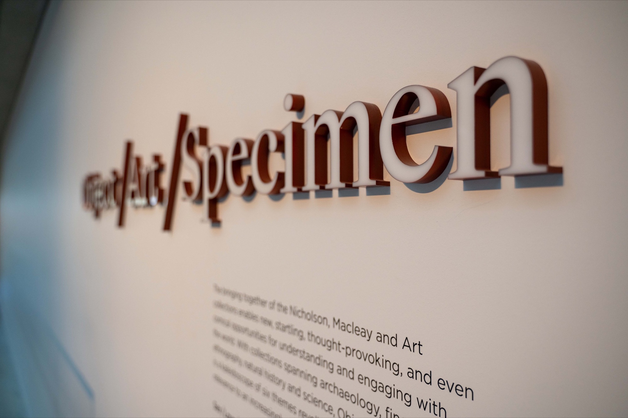 Object / Art / Specimen project view 1