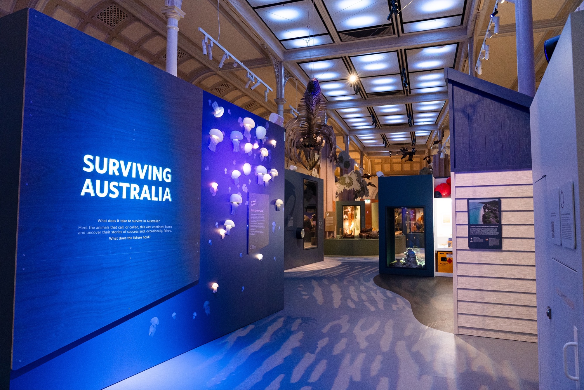 Surviving Australia project view 6