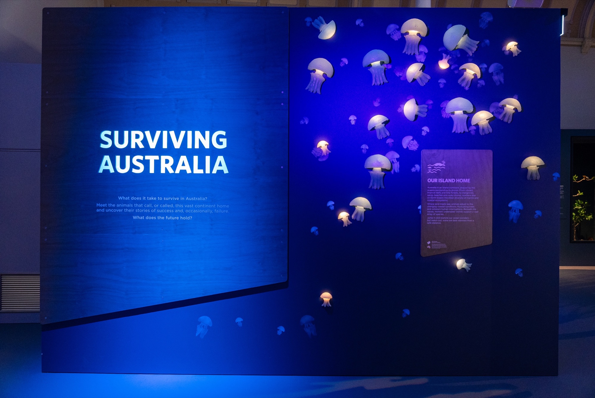 Surviving Australia gallery at the Australian Museum with large-format habitat graphics, interpretation and display structures.