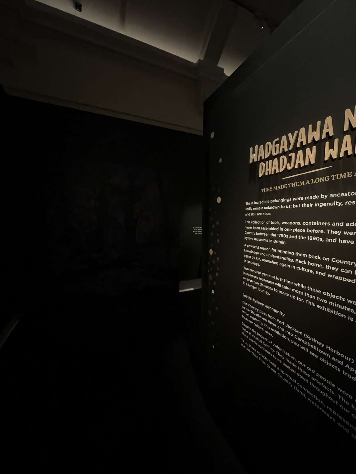 Wadgayawa Nhay Dhadjan Wari project view 3