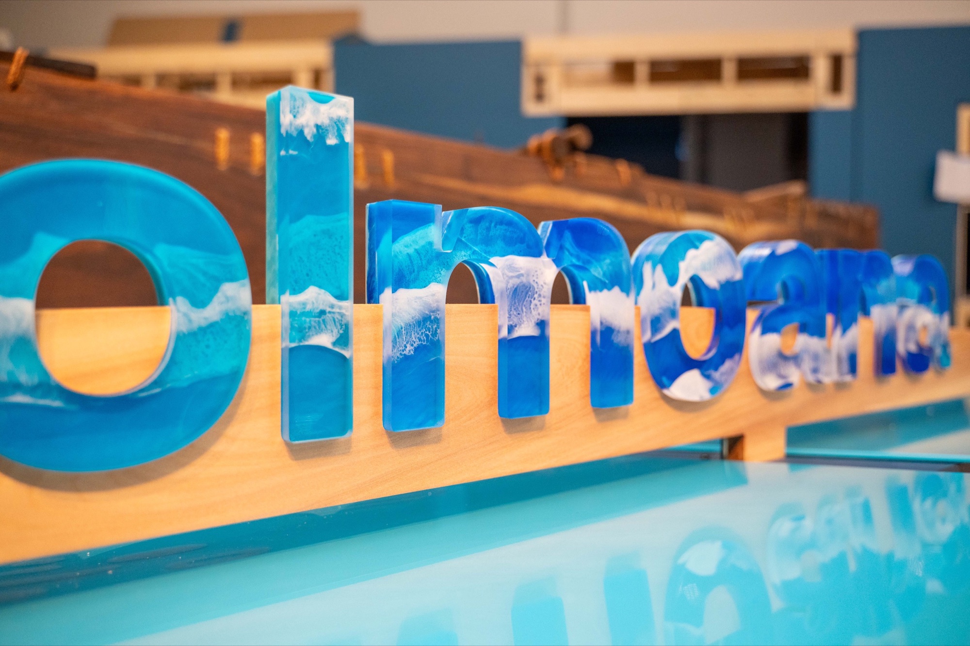 Layered blue Wansolmoana dimensional title lettering installed at the Australian Museum.