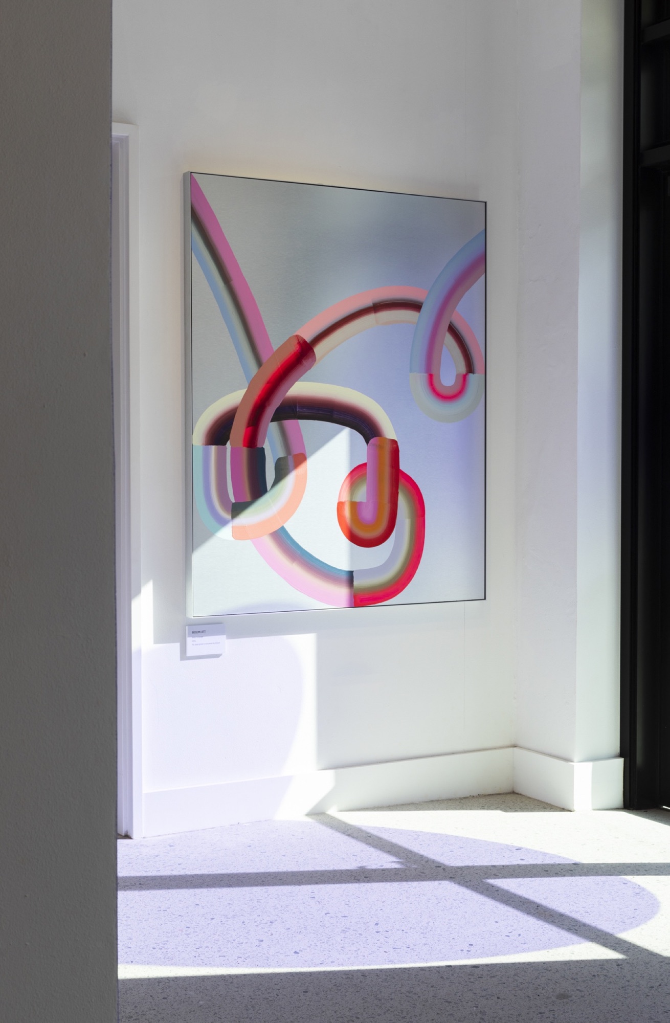 Framed artwork and caption installed in a sunlit Waverley Art Prize gallery.
